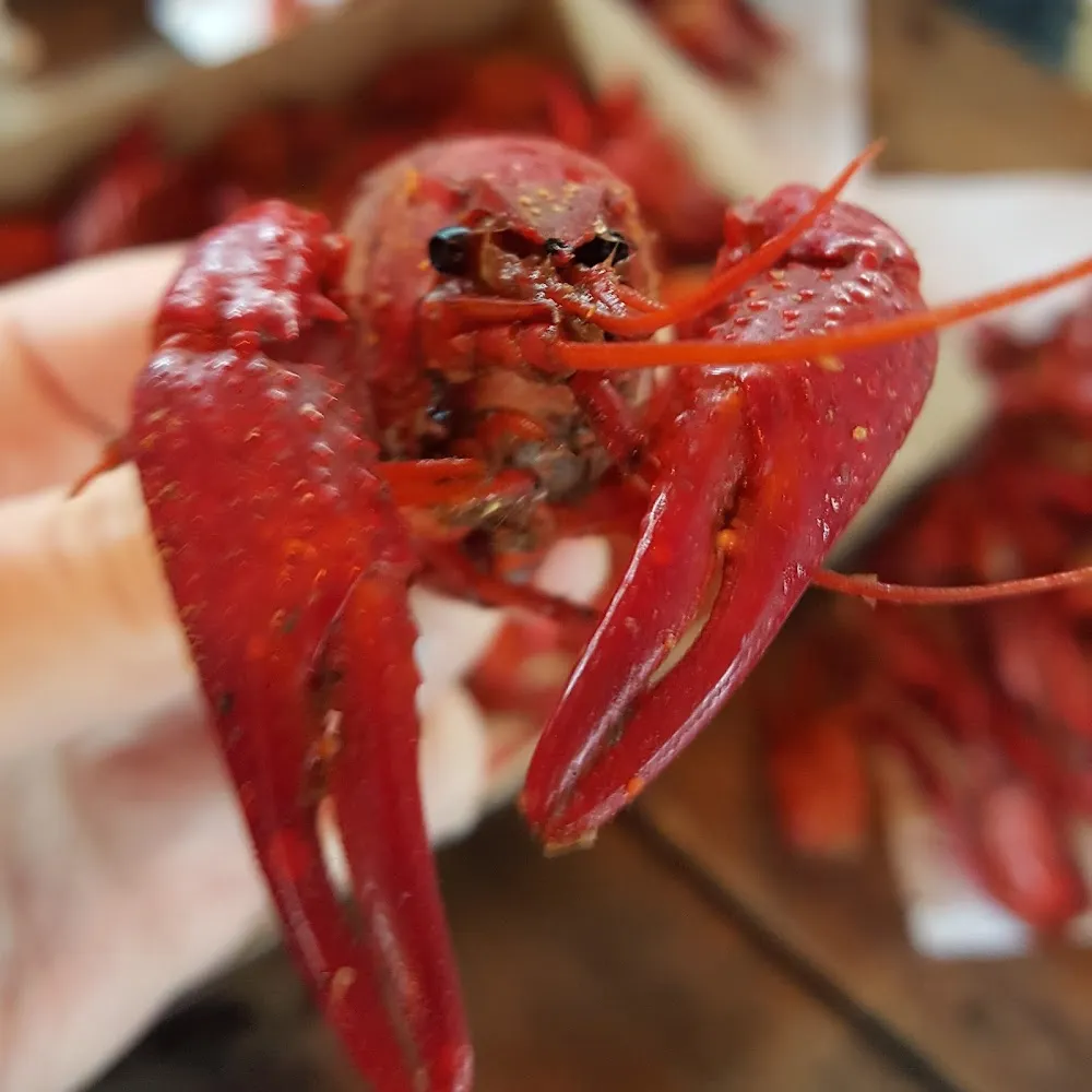 Crawfish Boil